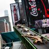 Confiscated Ivory Crushed In Times Square To Raise Awareness About Elephant Slaughters